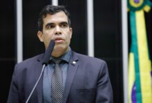 Comissão de Constituição e Justiça aprova custódia compartilhada de animal de estimação em caso de separação