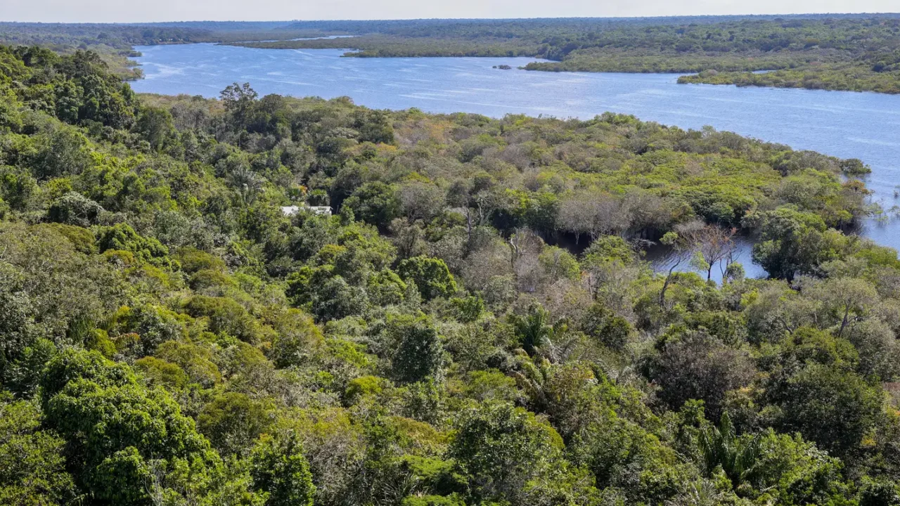 Conflito por território é principal gerador de violência na Amazônia