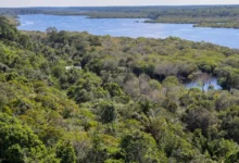 Conflito por território é principal gerador de violência na Amazônia