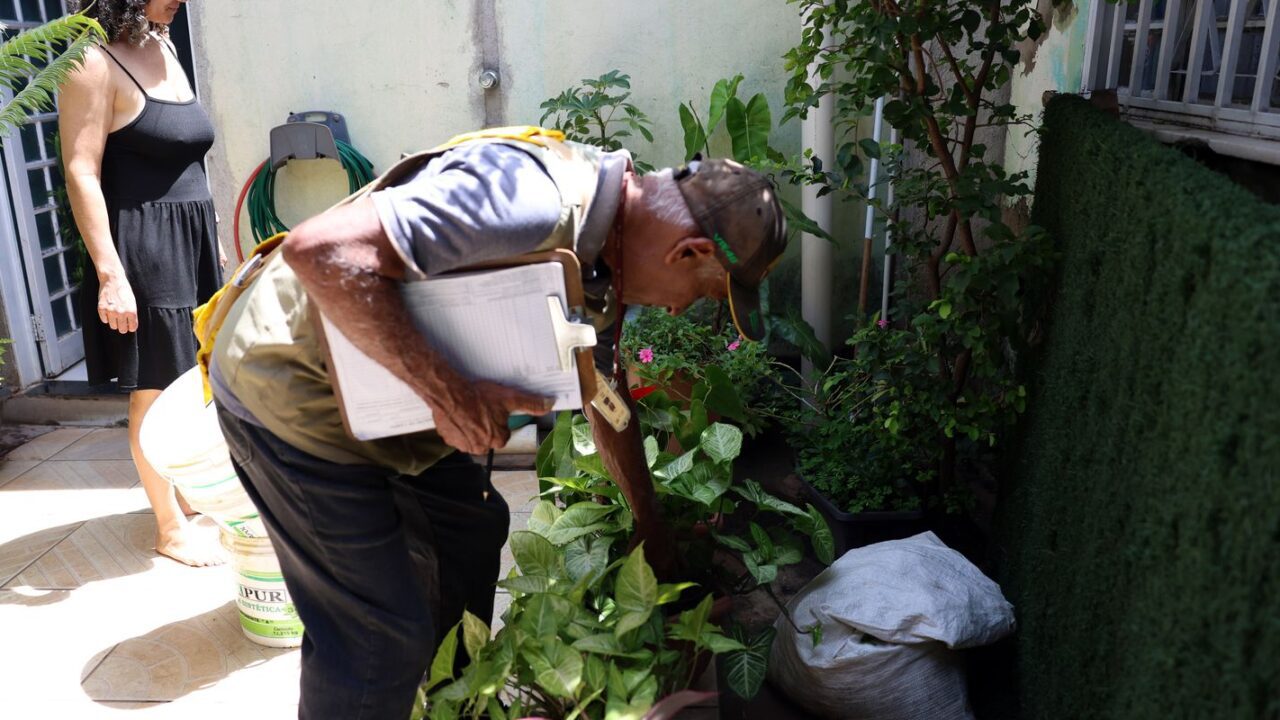 Dia D combate focos de mosquito da dengue em todo o país