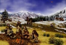 DNA Reveals When Humans And Neanderthals Became One