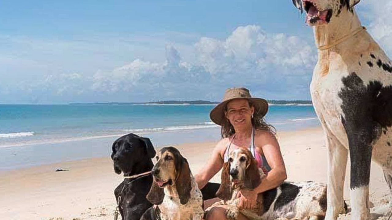 Férias chegam e trazem um dilema: viajar ou não com os pets?