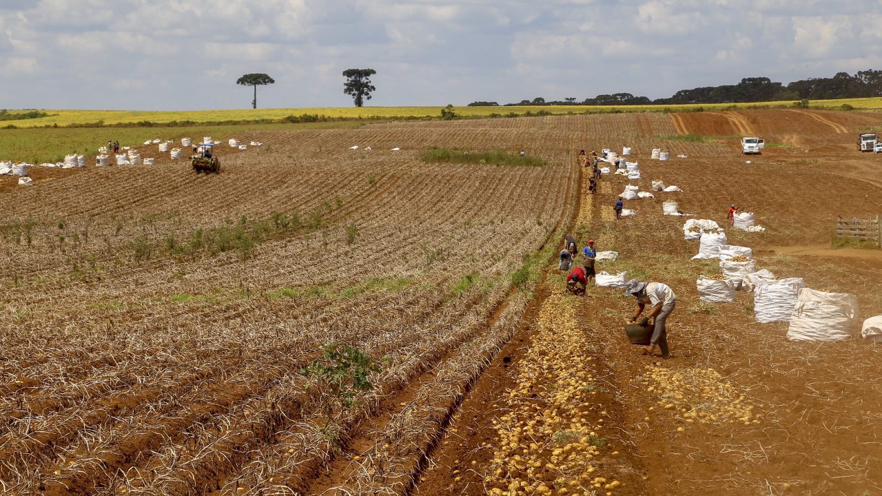 Regulamentação de bioinsumos é destaque em aprovações na área agrícola