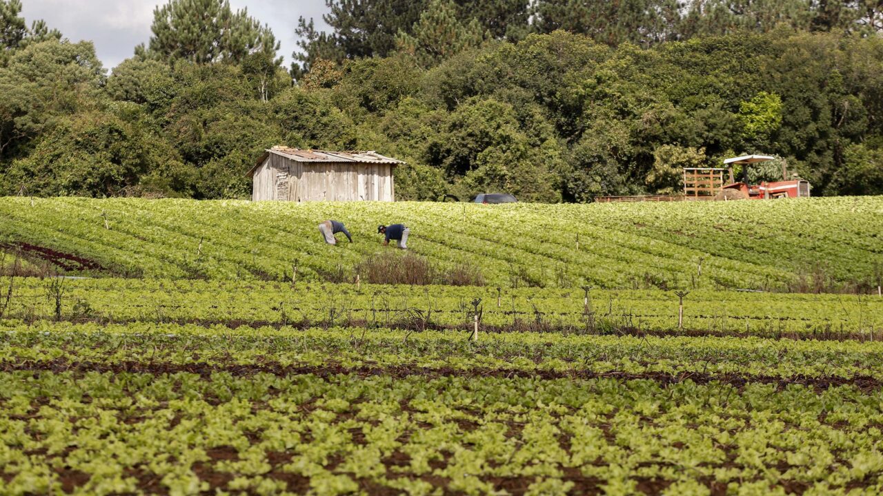 Seminário da Comissão de Legislação Participativa celebra o Dia do Extensionista Rural