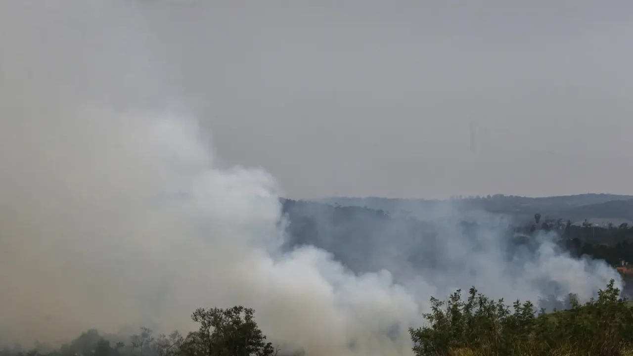 Dino cobra informações do governo de SP sobre combate às queimadas