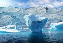 The World's Largest Iceberg Has Broken Free And Is On The Move