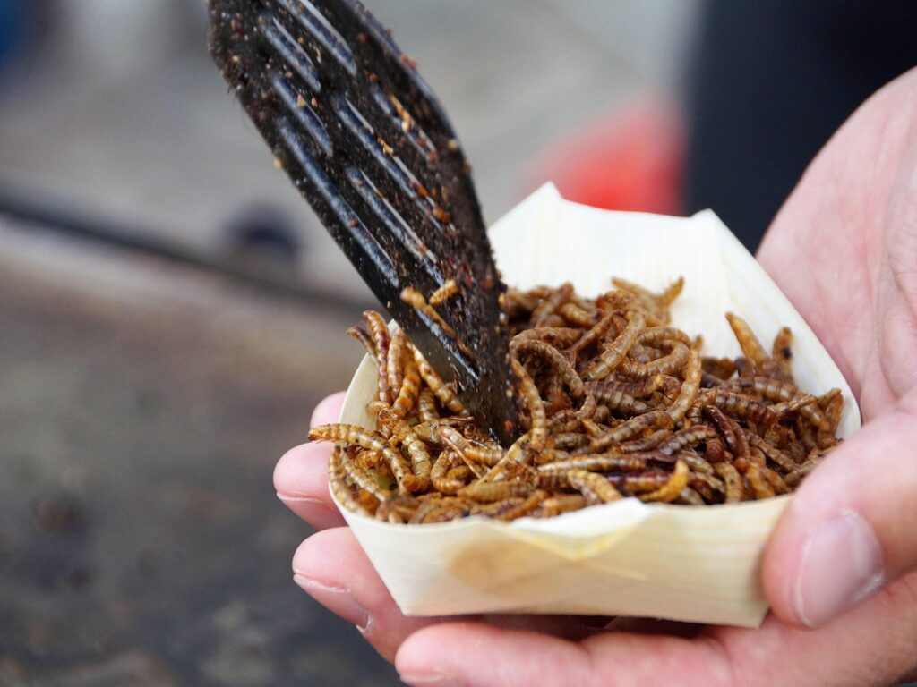 Worms at Chernobyl Appear Mysteriously Unscathed by Radiation