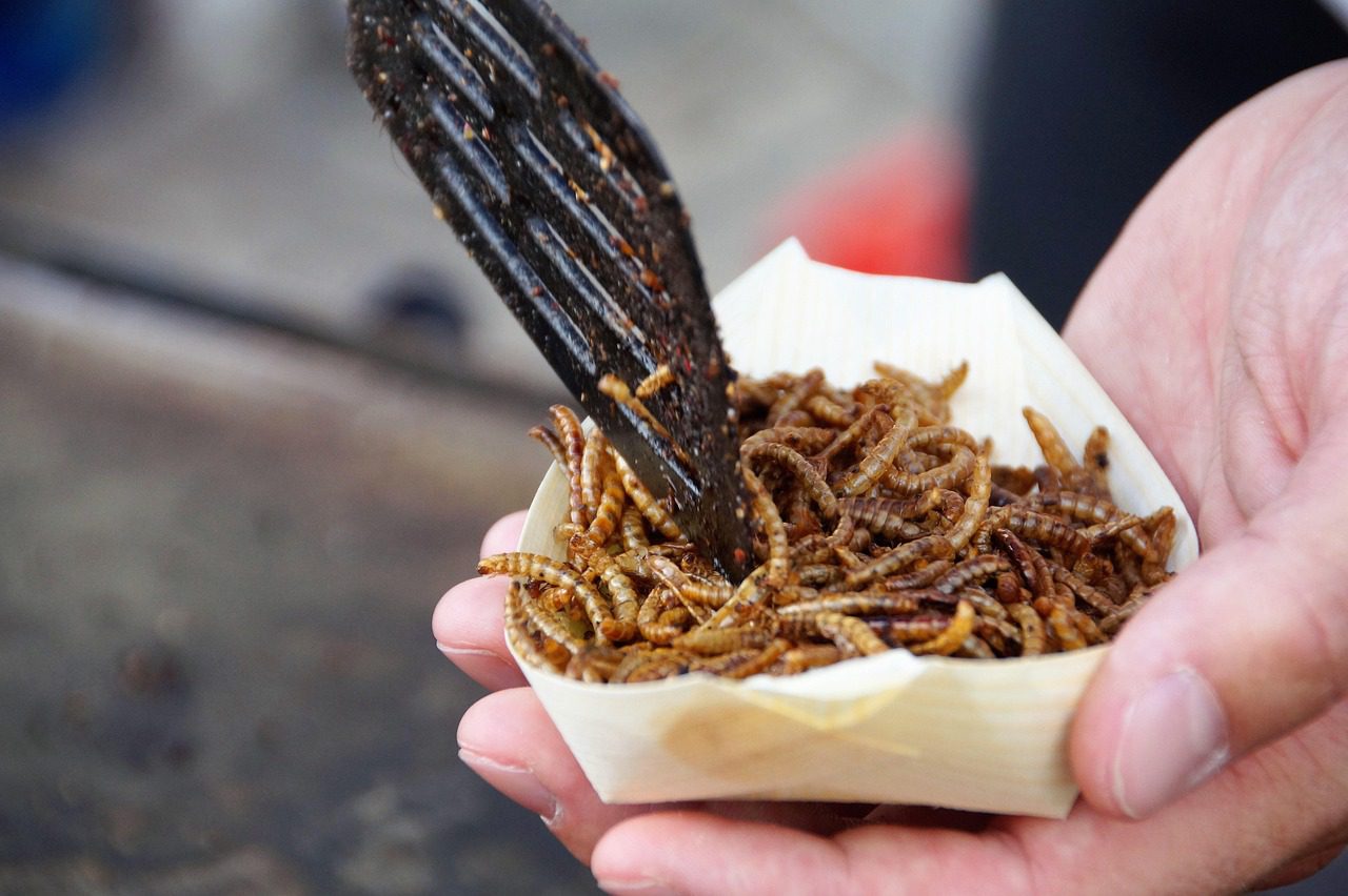 Worms at Chernobyl Appear Mysteriously Unscathed by Radiation