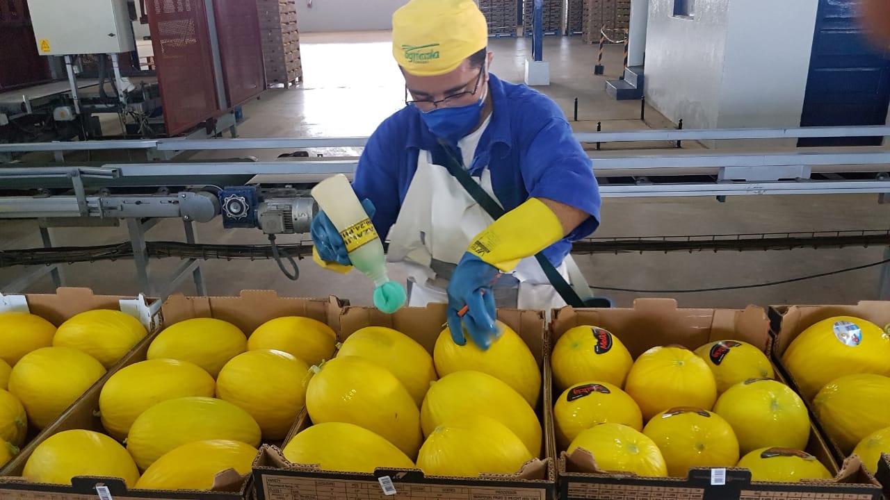 Exportações do RN disparam 42% em 2024, impulsionadas por combustíveis e frutas