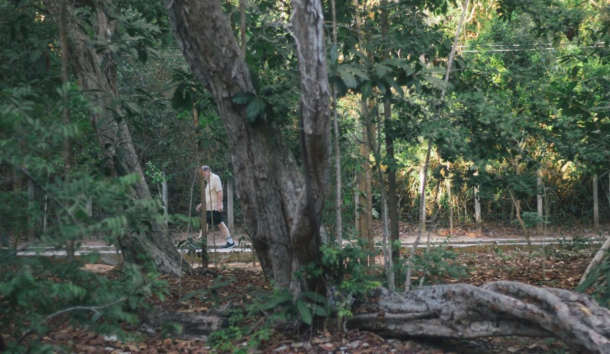 Carteira de Coopista 2025 do Parque das Dunas pode ser solicitada online