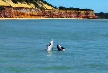 Rio Grande do Norte aposta no turismo internacional e apresenta litoral na FITUR 2025