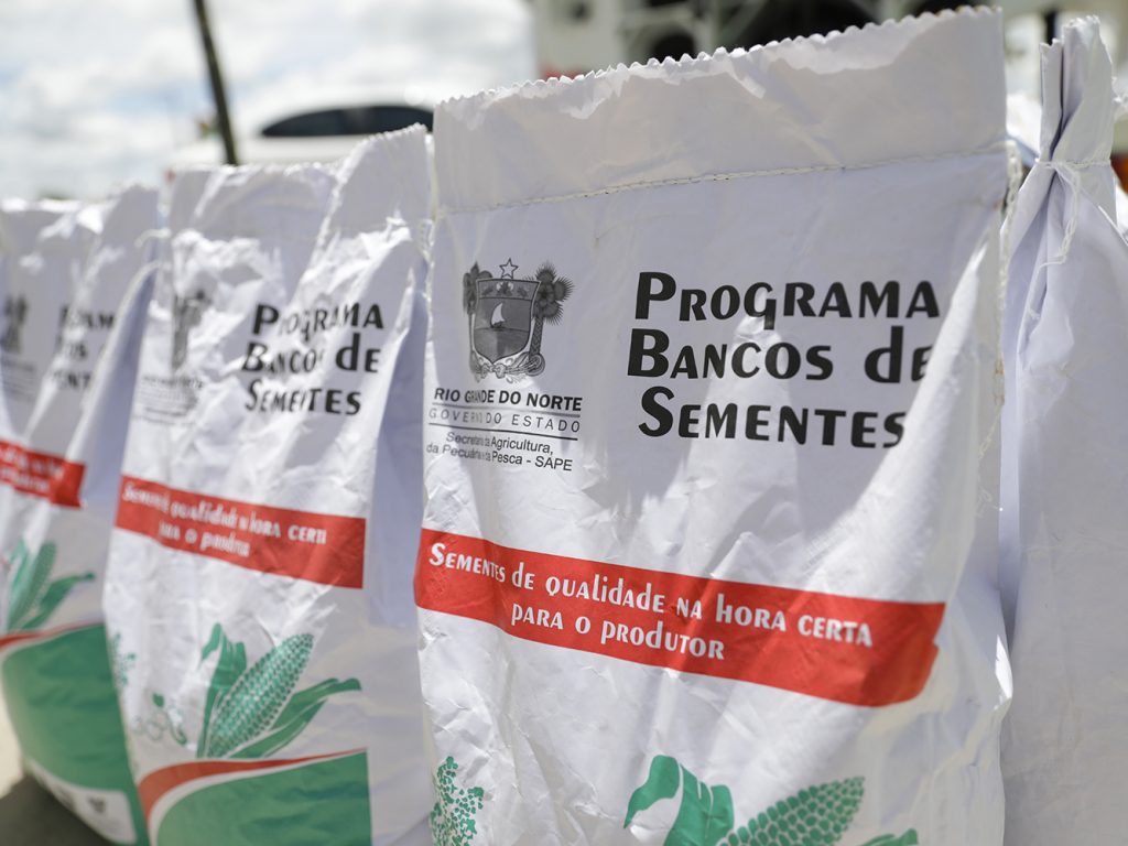 Rio Grande do Norte lança programa de sementes para agricultores familiares