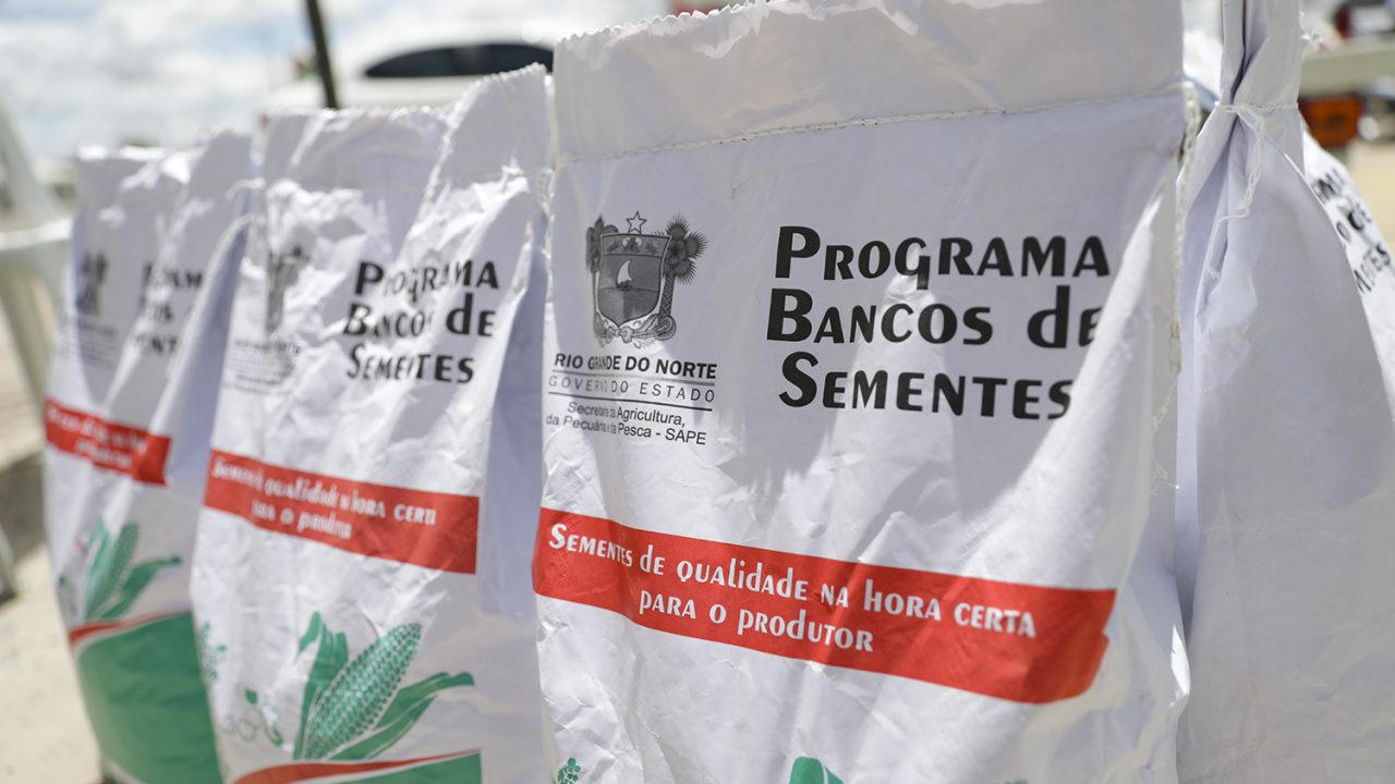 Rio Grande do Norte lança programa de sementes para agricultores familiares