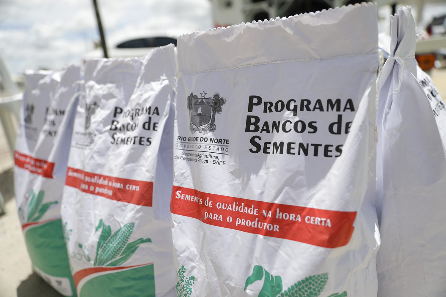 Rio Grande do Norte lança programa de sementes para agricultores familiares