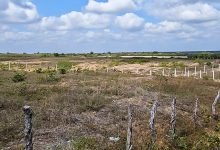 Sao Goncalo do Amarante retoma projeto de distrito empresarial estrategico