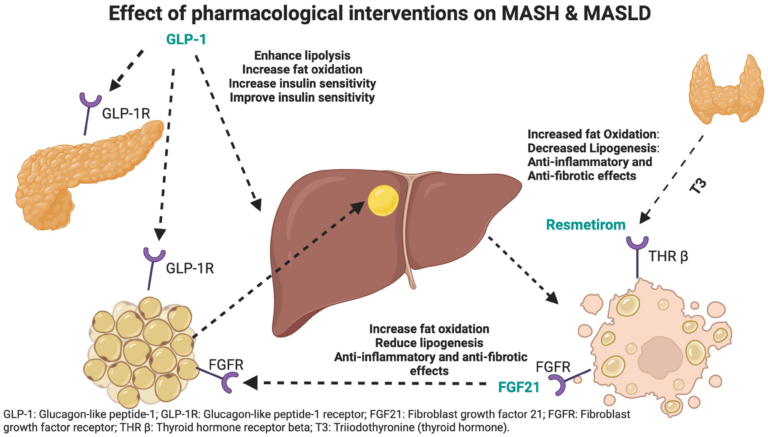 biomedicines 12 02328 g001 768x437 1