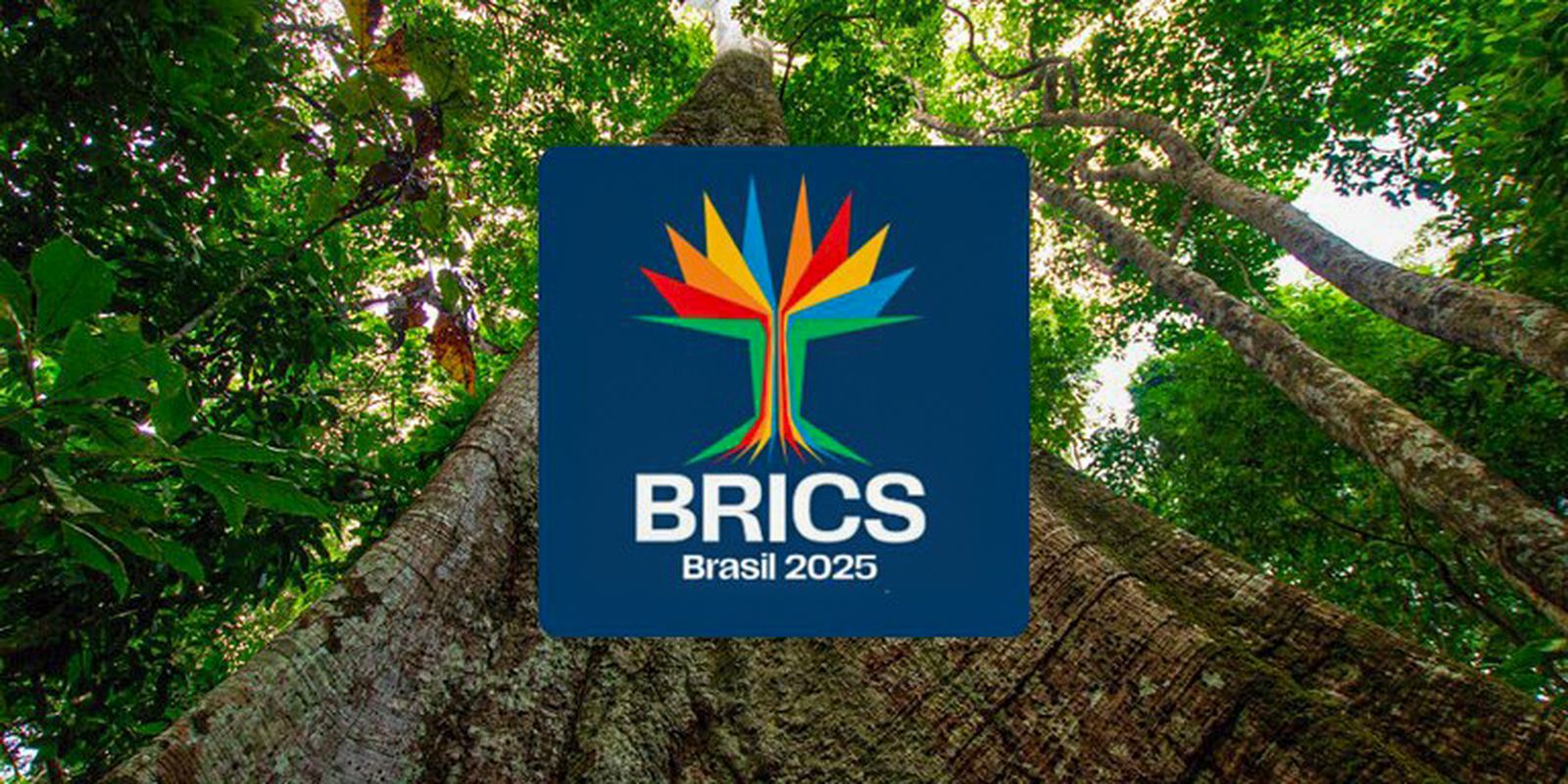 Brics têm mais de 40% da população e 37% do PIB mundiais