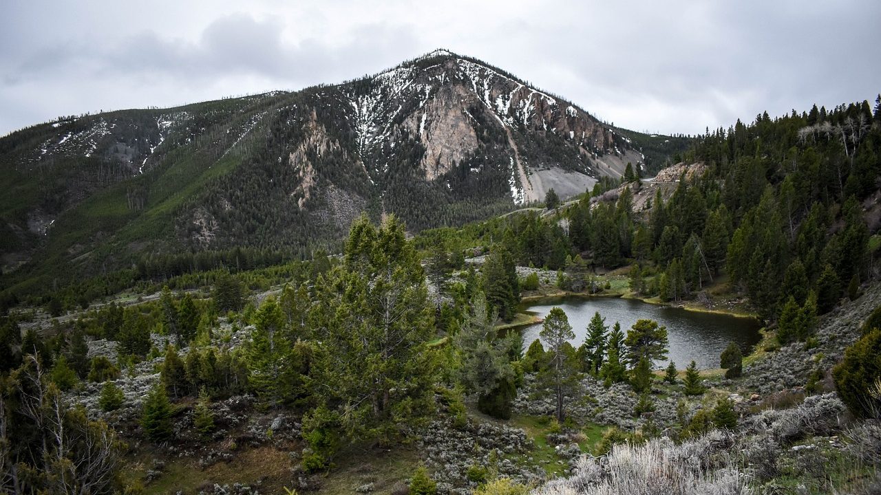 Volcanic Activity Beneath Yellowstone's Massive Caldera Could Be on The Move