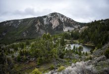 Volcanic Activity Beneath Yellowstone's Massive Caldera Could Be on The Move