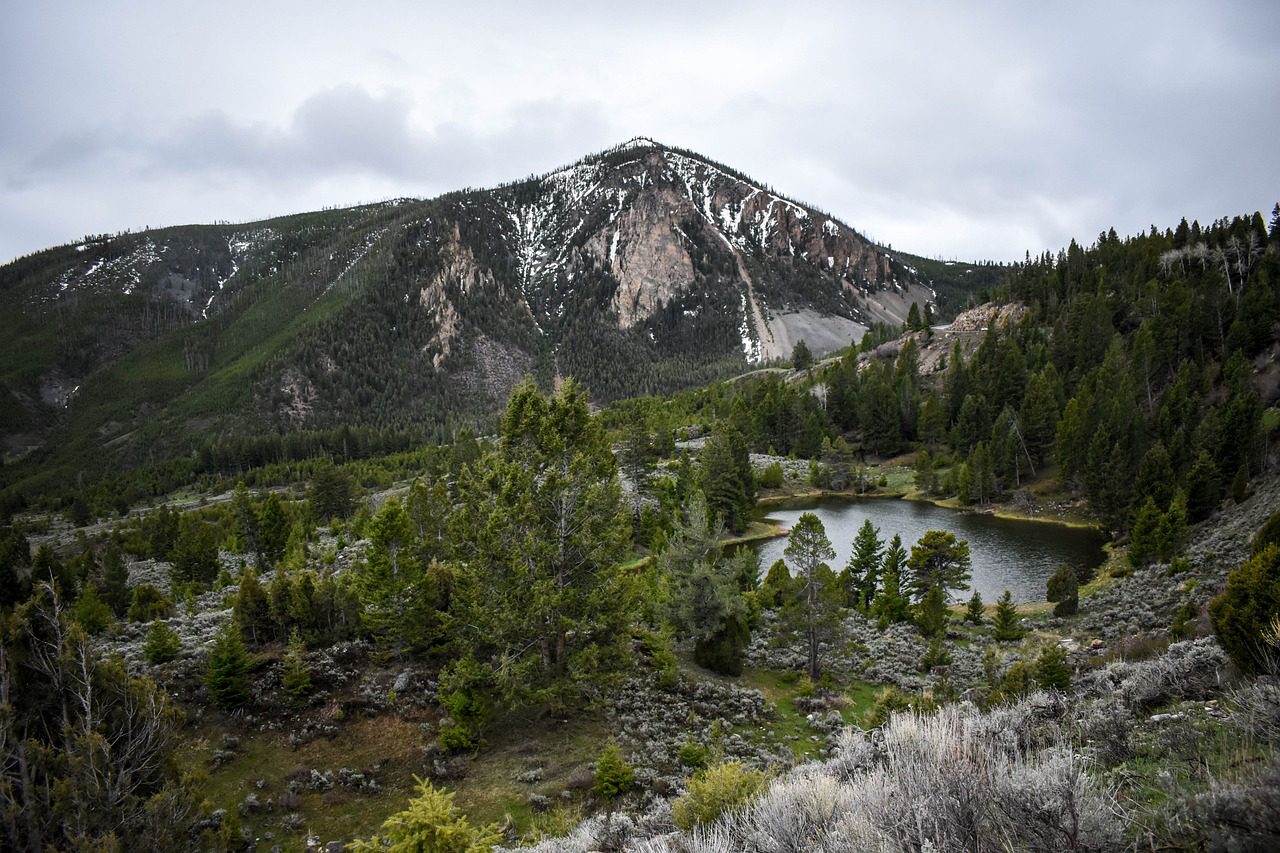 Volcanic Activity Beneath Yellowstone's Massive Caldera Could Be on The Move