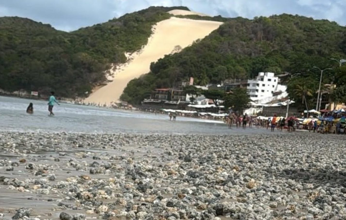 Natal busca empresa para remoção de rodolitos em Ponta Negra após obra de engorda