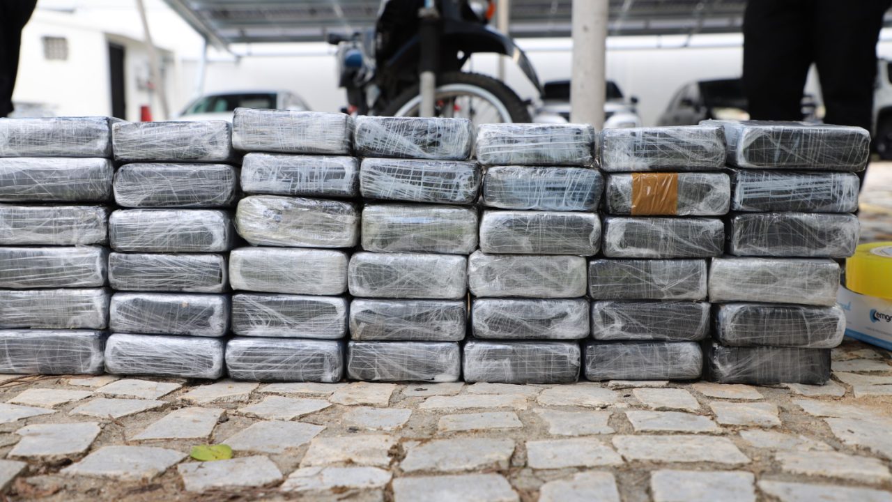 Operação da PF e Receita Federal descobre 384 kg de cocaína em carga destinada à Europa