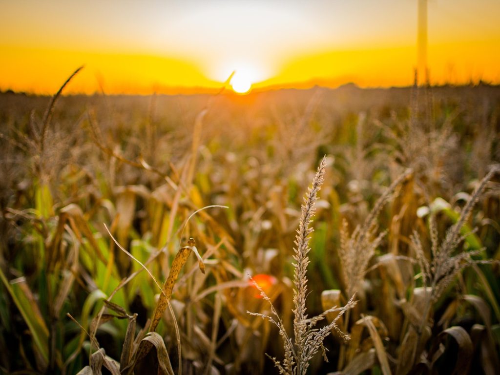 São José do Seridó sedia lançamento da safra 2025 do Agrosertão