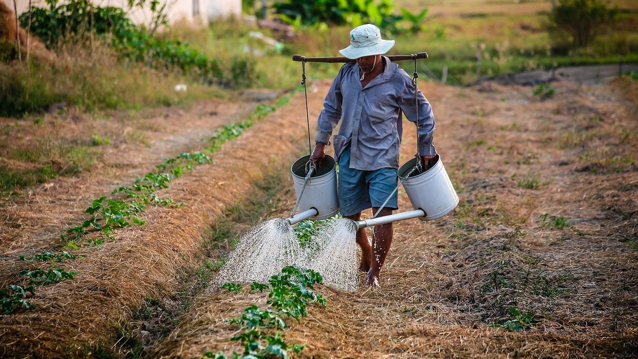 Vereadora de Caicó busca apoio federal para agricultura familiar e infraestrutura rural