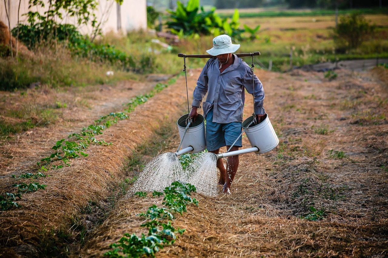 Vereadora de Caicó busca apoio federal para agricultura familiar e infraestrutura rural