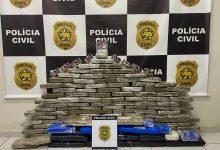 Empresa de logística em Parnamirim é alvo de operação que apreende 100 kg de maconha