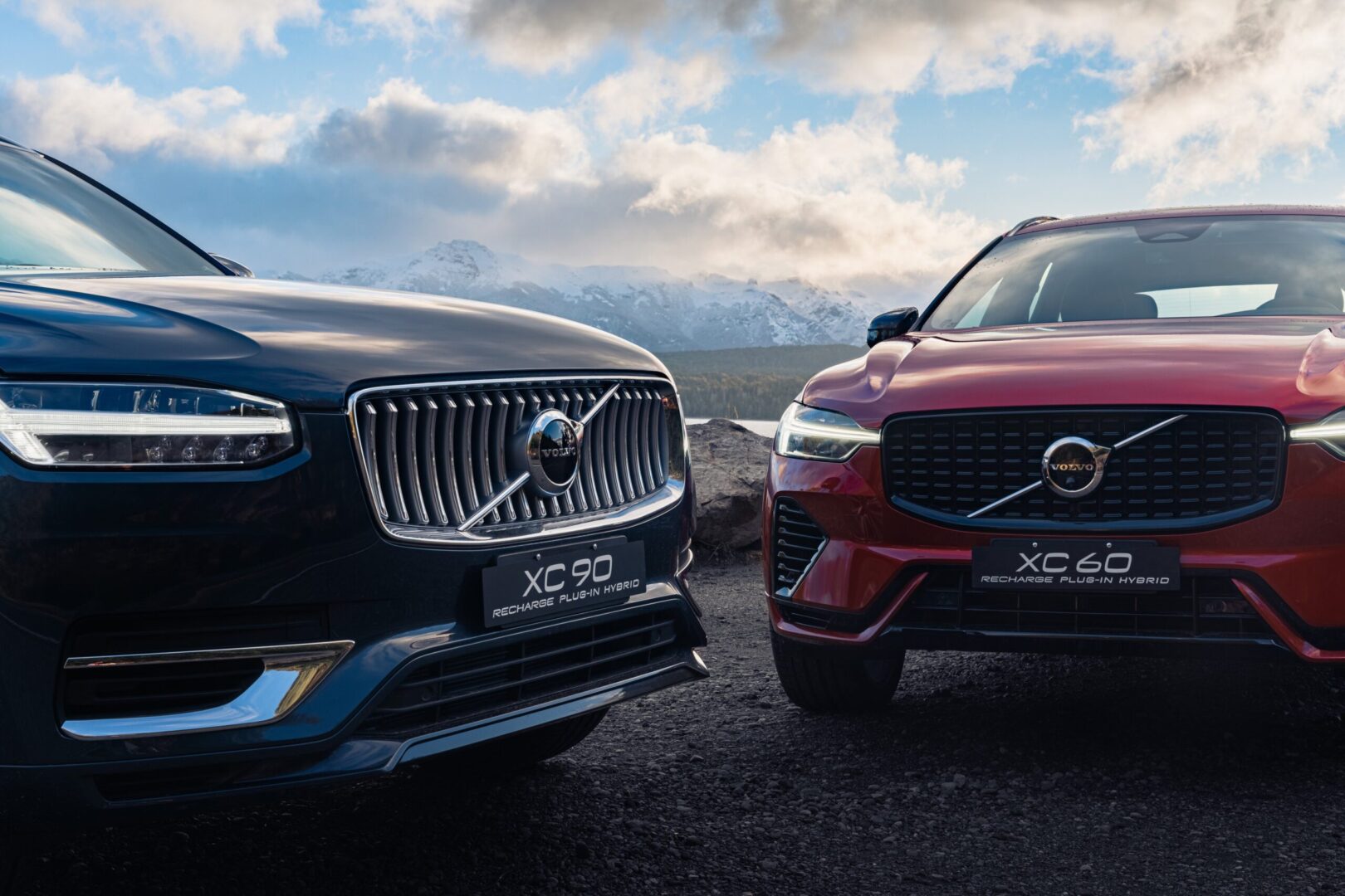Volvo XC60 e XC90