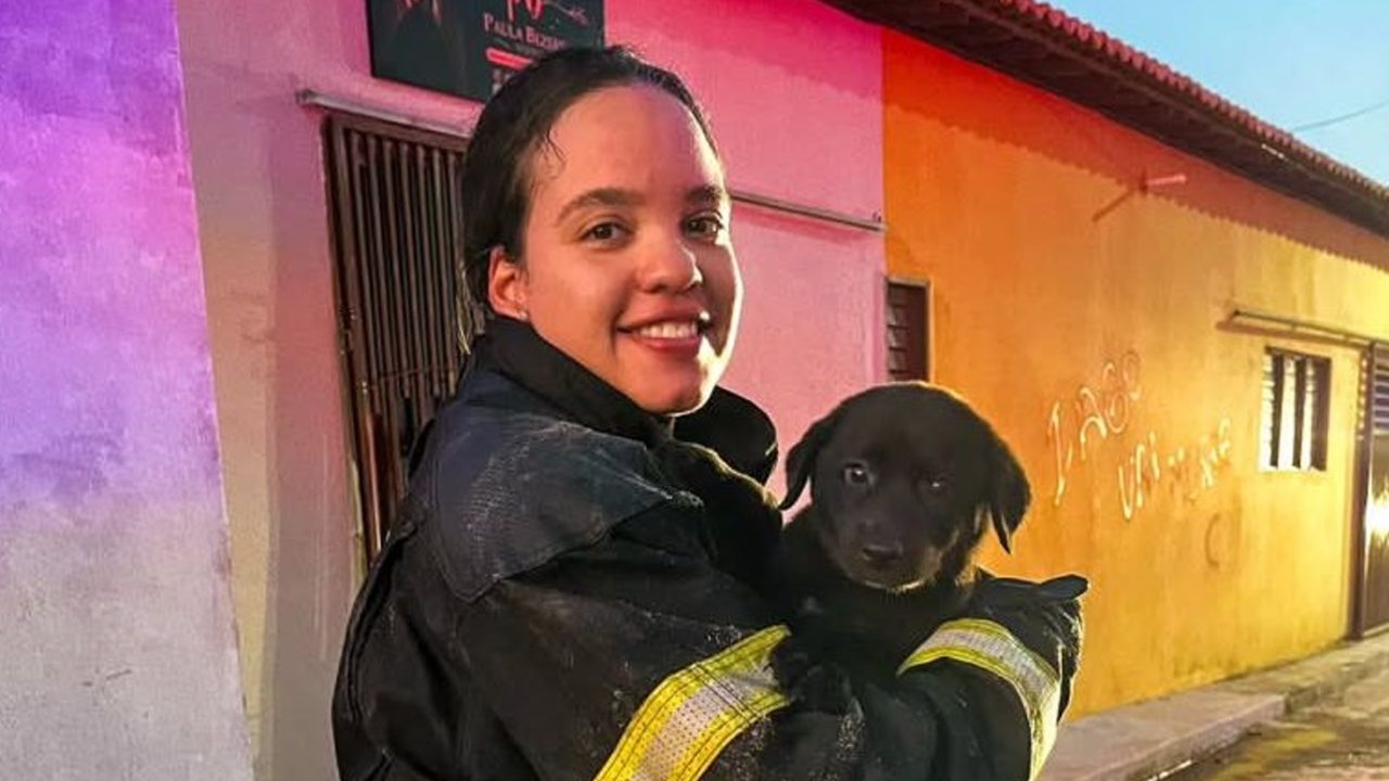 Filhote de cachorro é resgatado em incêndio criminoso em Tibau