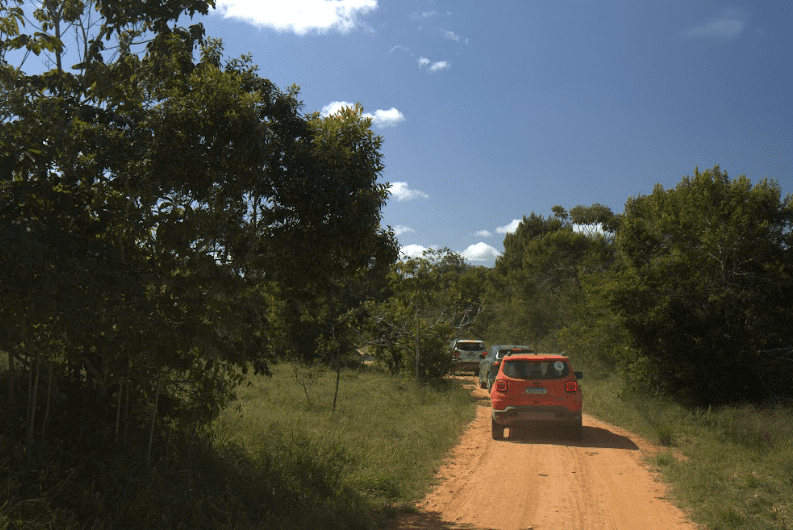 JEEPNATURE8