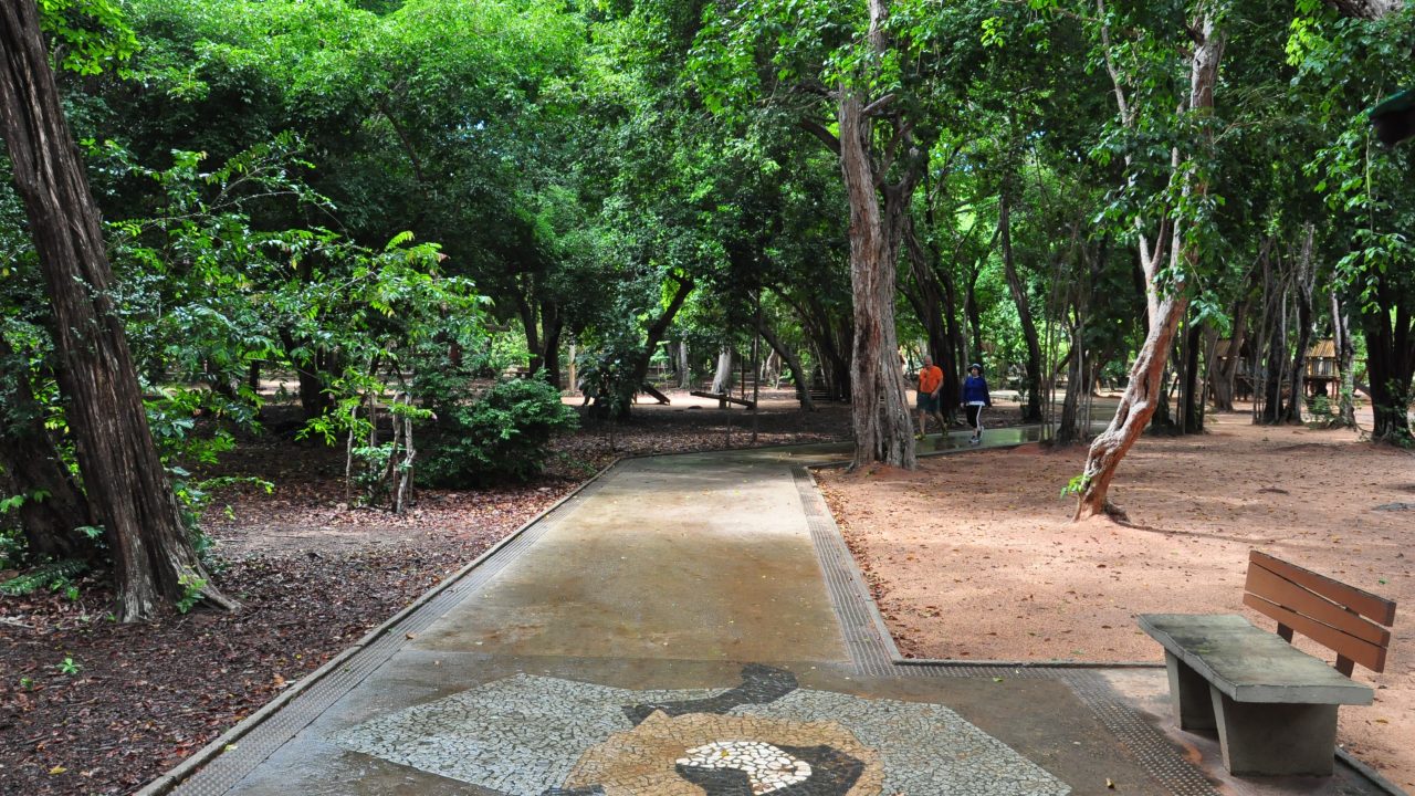 Parque das Dunas em Natal se destaca entre os mais visitados do Brasil