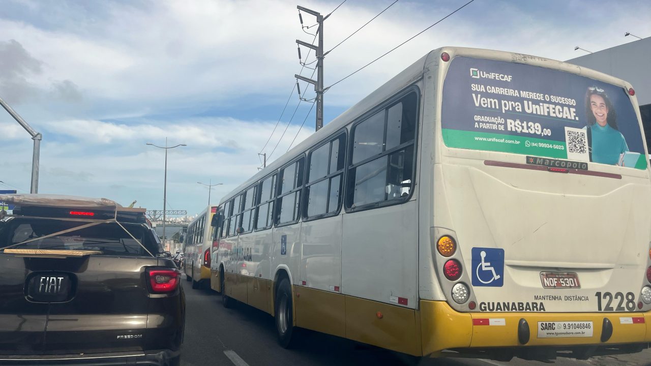 Trânsito e transporte público, ônibus