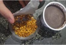 Bebê de oito meses morre e mulher está na UTI após comer açaí; suspeita é de envenenamento 