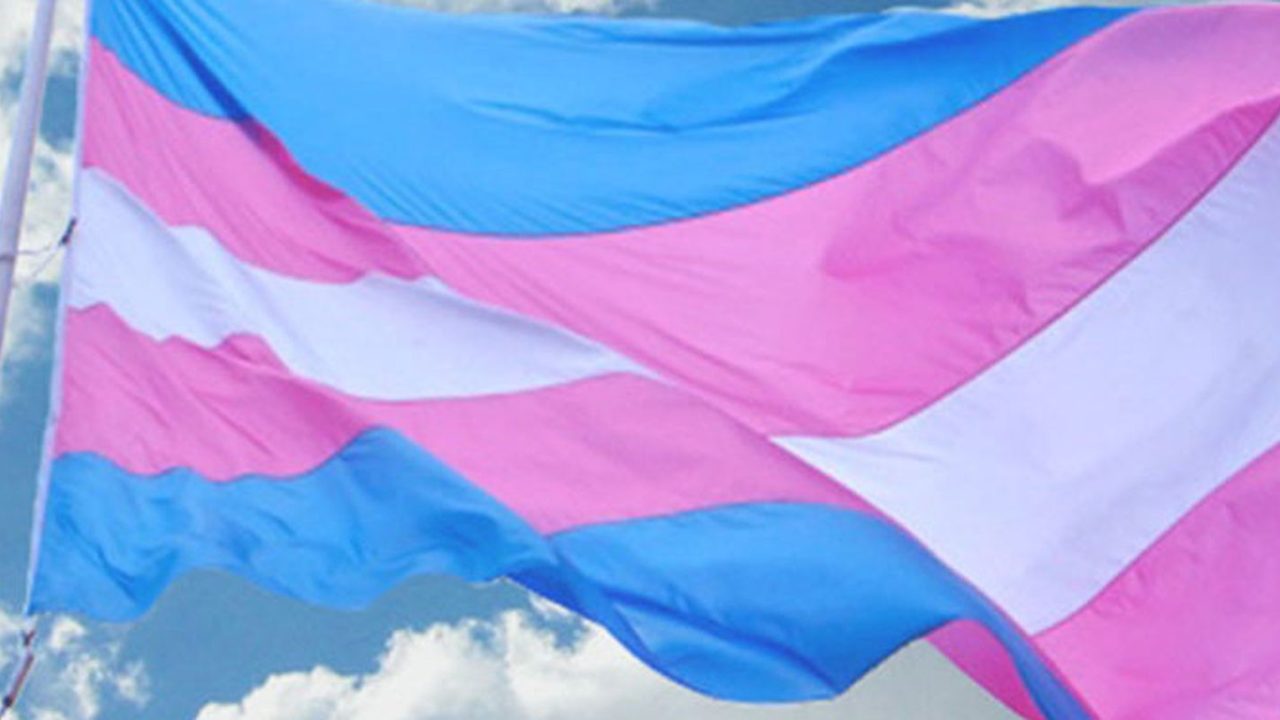 Entidades reagem a vetos de terapias hormonais para menores