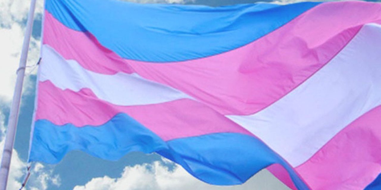 Famílias reagem a veto de terapias hormonais para menores