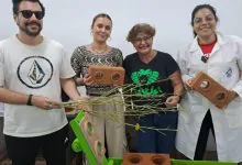 UFRN desenvolve tijolo ecológico inovador a partir de resíduos de Cannabis
