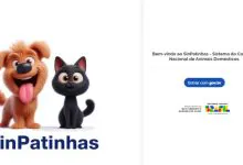 Governo federal lança SinPatinhas, o RG nacional para cães e gatos